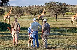 luxury travel advisor USA